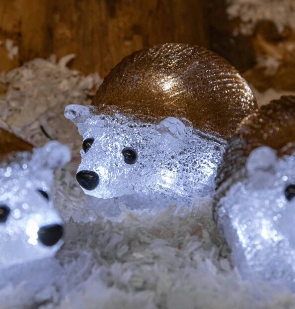 Samuel Alexander Set of 5 Battery Operated Brown Acrylic Christmas Hedgehogs with Cool White LEDs