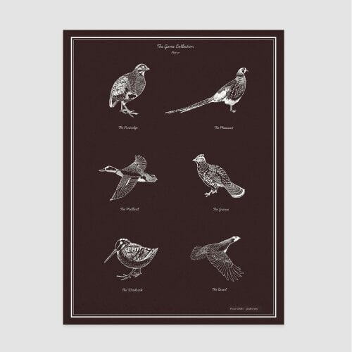 Joules The Gamekeepers Sketch 50 X 70 Wood Frame | Red