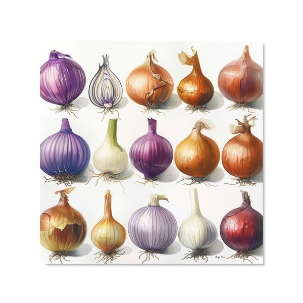 Warren Reed - Designer Onion Spectrum: Nature’s Palette Kitchen Splashback