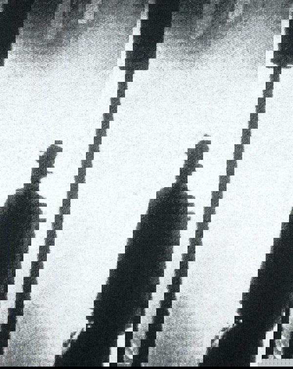 Exorcist Mens Black Movie Graphic Short Sleeved T-Shirt