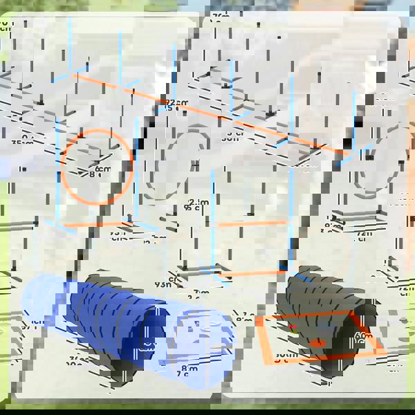 Pet Agility Set