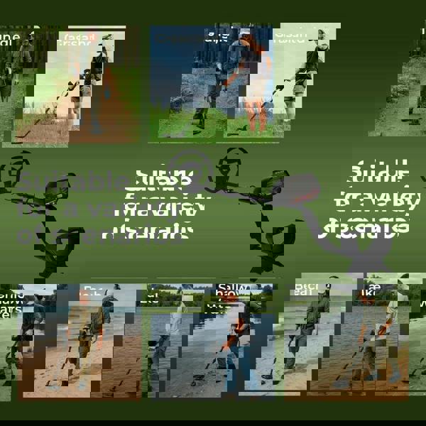 Traderight Metal Detector Professional Waterproof for Beginner 4 Search Mode