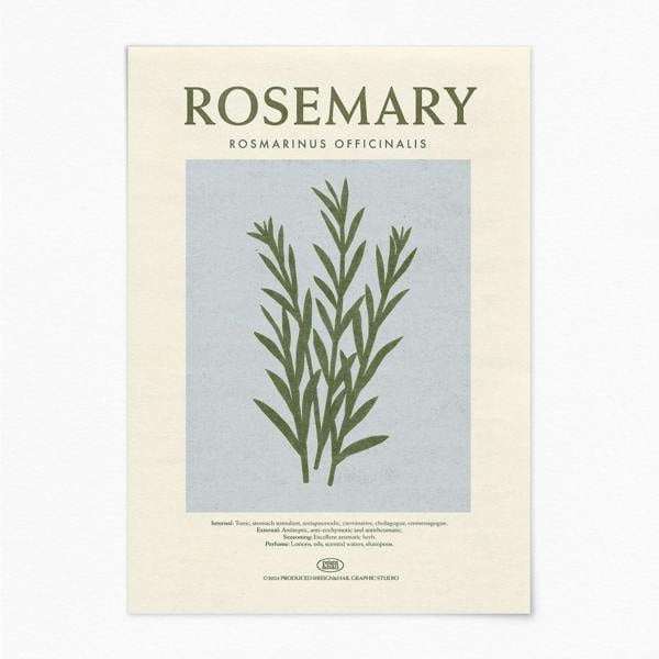 Reign&Hail Rosemary - Herb Print