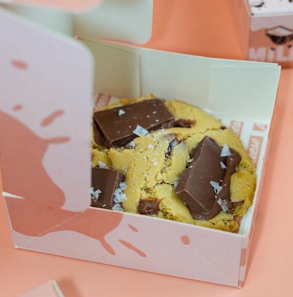 Pleese Milk Chocolate & Sea Salt Cookie