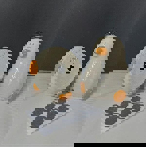 Handmade Duck Salt & Pepper Shakers – UK Ceramic Pair