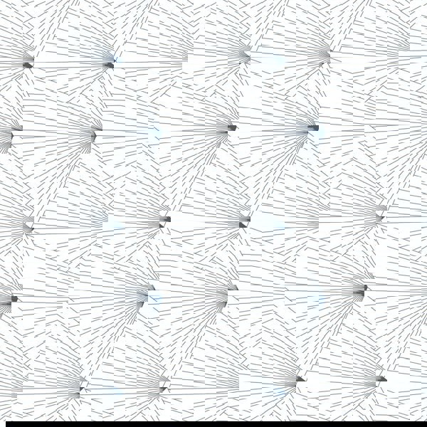 Fan navy / white
