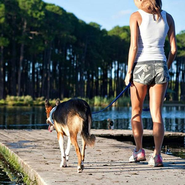 EzyDog Vario 4 Multi-Function Dog Lead in Blue