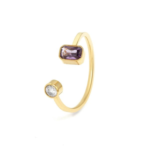 Say It With February Amethyst Birthstone Ring - Yellow Gold Plated