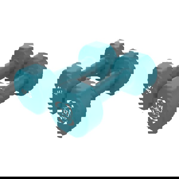 Body Revolution 2 x 4KG Neoprene dumbbells