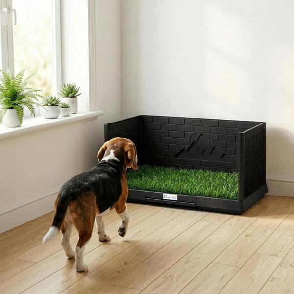 Dog Toilet