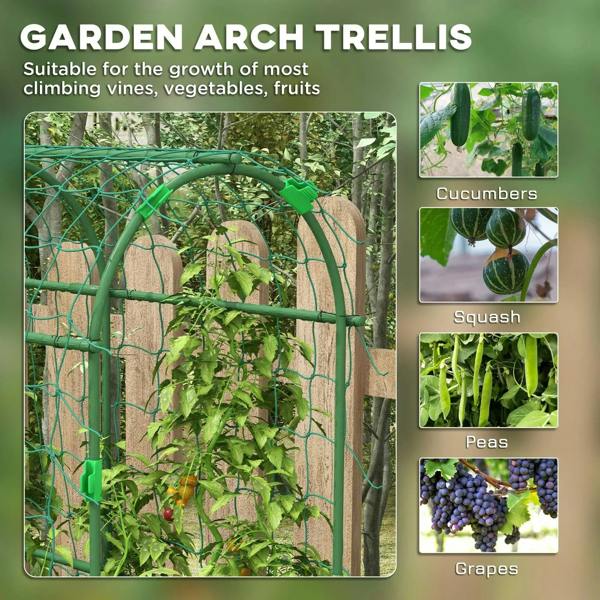 Green garden arch trellis with netted frame supporting climbing plants