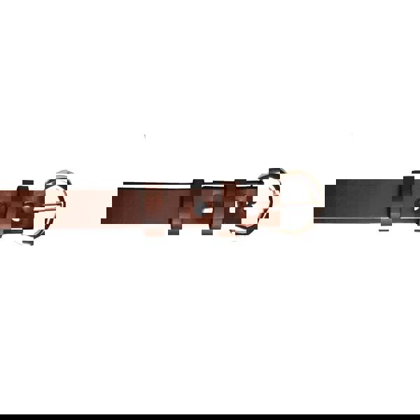 Eastern Counties Leather Womens/Ladies Thin Fashion Belt - Brown