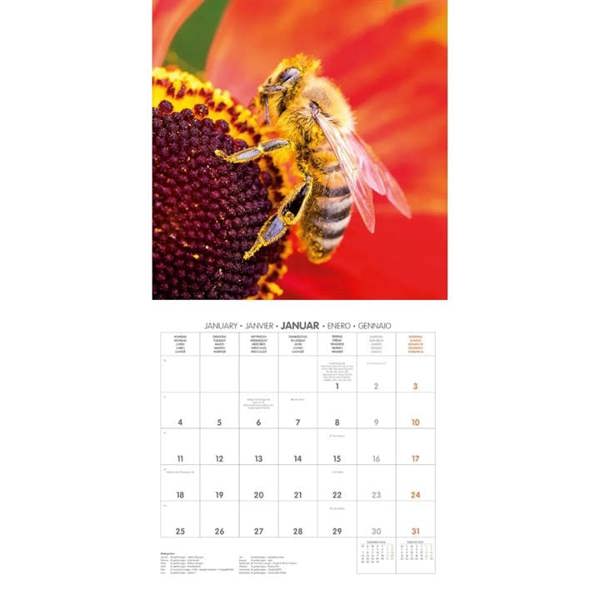 Bees Calendar 2027, Wall Calendars, Month To View, Animals, Gift