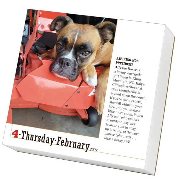 365 Days Of Dogs Desk Calendar 2027, Desk Calendars, Day To View, Dogs, Gift