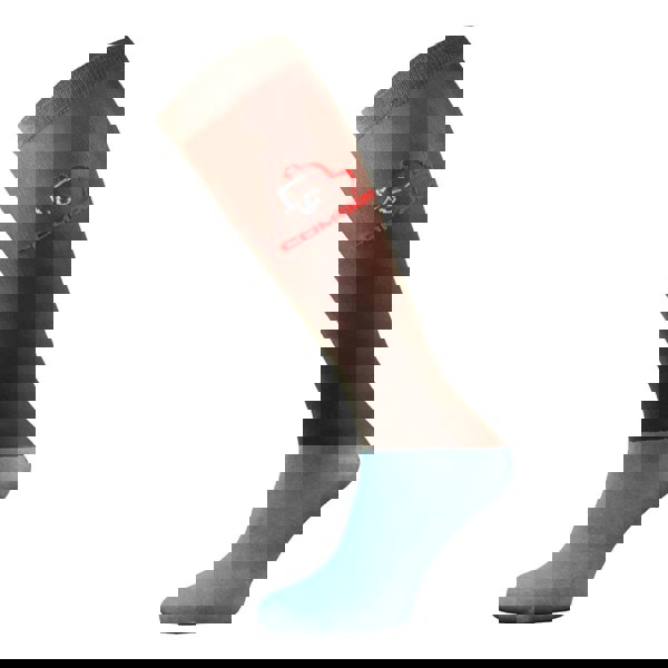 t4option1_3