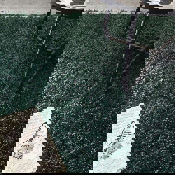 Origins Chicago Forest Green