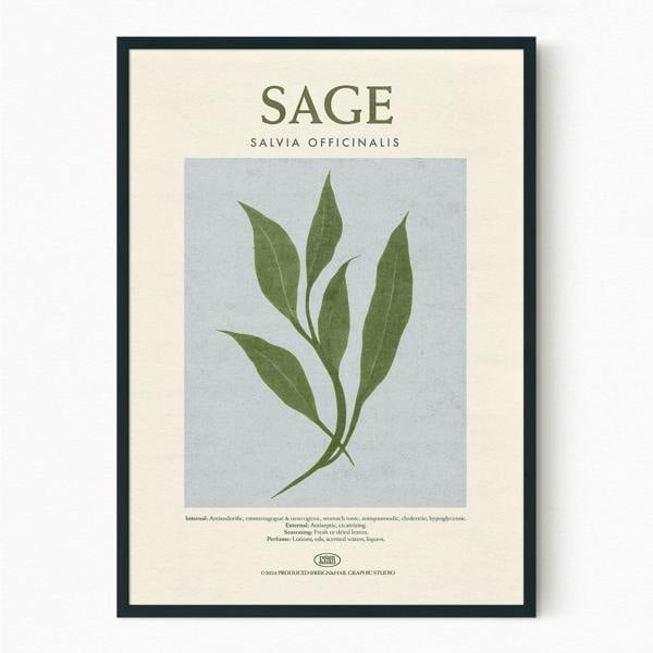 Reign&Hail Sage - Herb Print