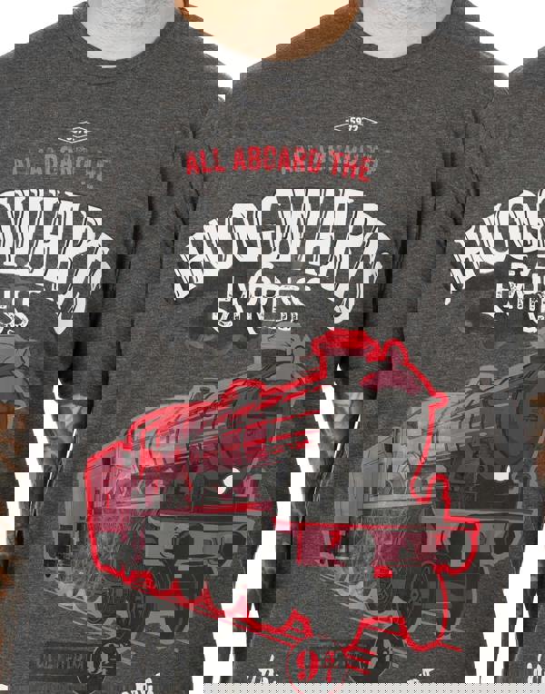 Harry Potter Mens Grey Hogwarts Express Short Sleeve Long Leg Pyjama Set