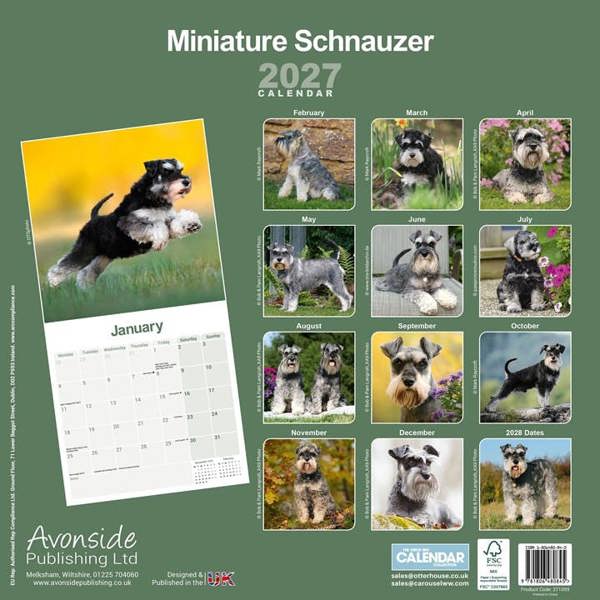 Miniature Schnauzer Calendar 2027, Wall Calendars, Month To View, Dogs, Gift
