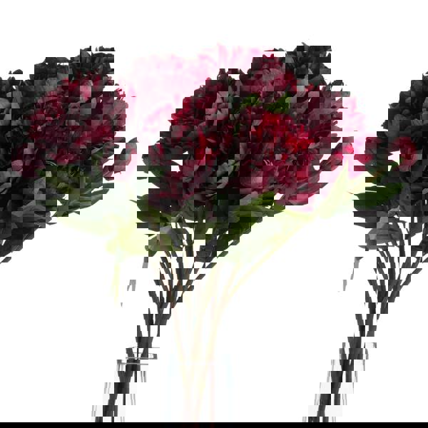 Hill Interiors Faux Burgundy Peony Rose - Burgundy - 