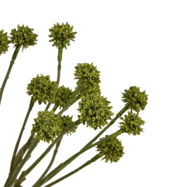 Wyld Haus Set of 3 Artificial Flowers Green Craspedia Stems