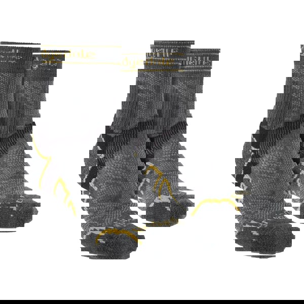 t4option1_2