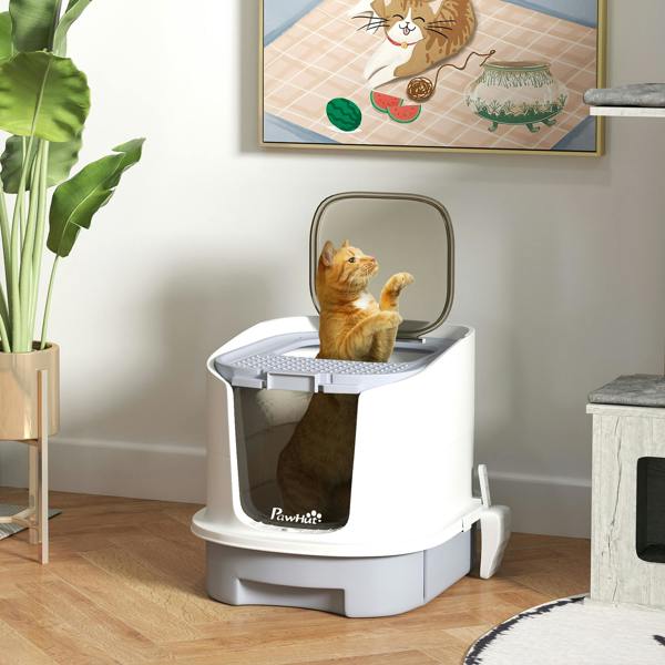 Cat Litter Box