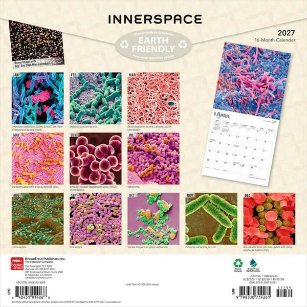 Microscopic World of Innerspace Calendar 2027, Wall Calendars, Month To View, Natural World, Gift