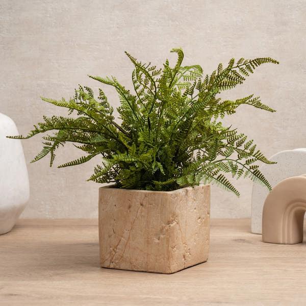 Scottish Everlastings 37cm Fern in Travertine Style Pot