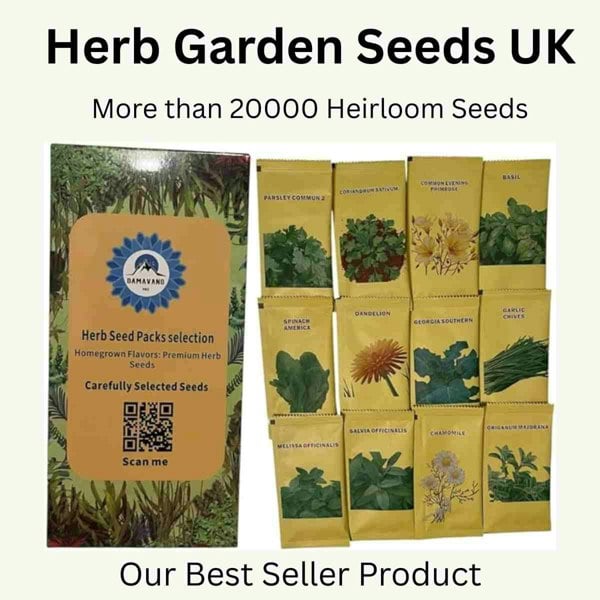 Fresh herb garden seeds UK – premium heirloom herb seeds for your kitchen garden starter kit