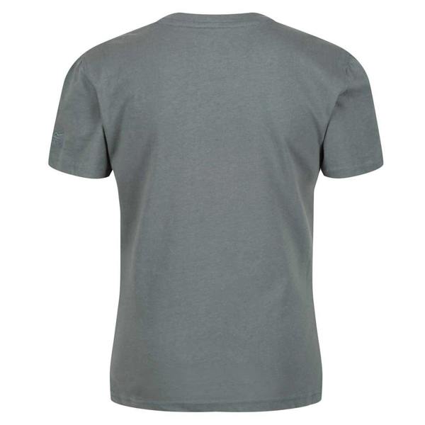 Regatta Womens/Ladies Jersey T-Shirt - Balsam Green - 