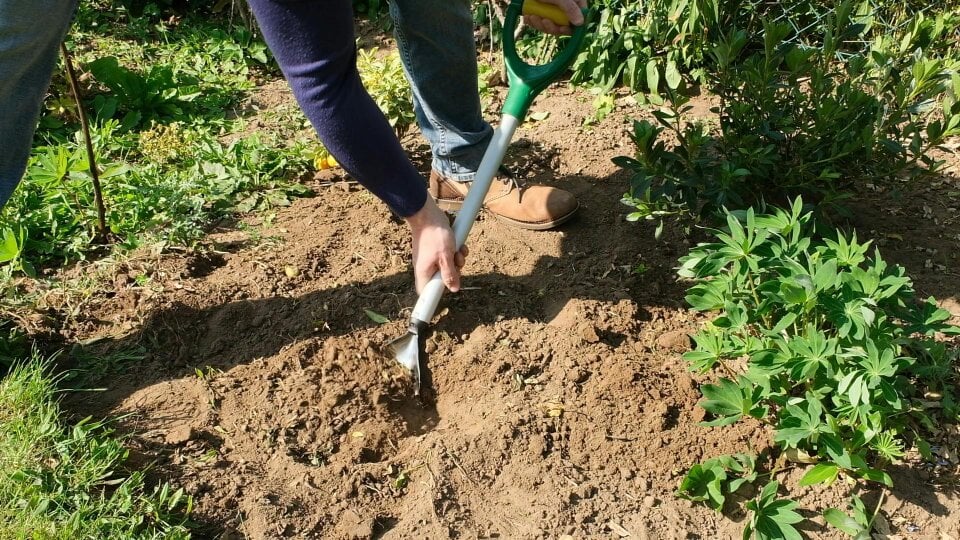 Grumpy Gardener Digamax Garden Spade