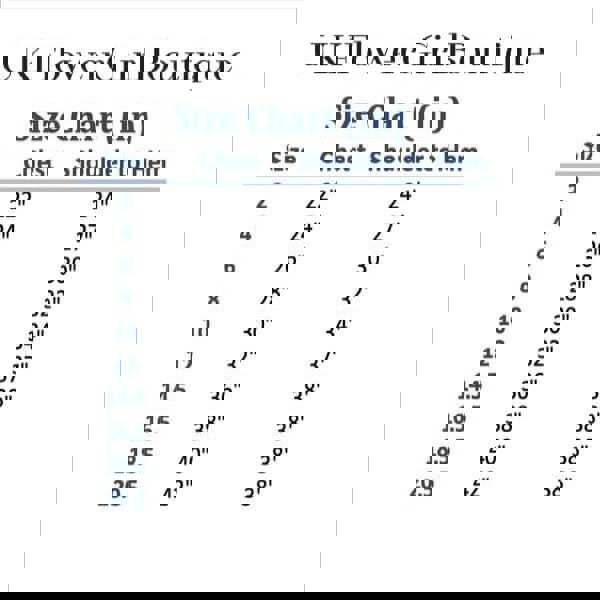 Size Guide for bell of the ball dress