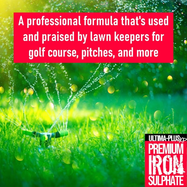 Ultima Plus XP ULTIMA-PLUS XP Premium Iron Sulphate - Greens Grass and Hardens Turf Makes up to 1000L & Covers up to 1000m2(1kg)