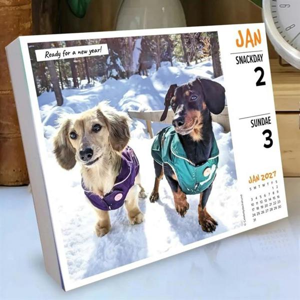Crusoe The Dachshund & Family Desk Calendar 2027, Desk Calendars, Day To View, Dogs, Gift