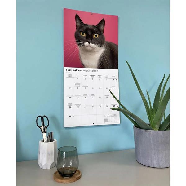 Tuxedo Cats Calendar 2027, Wall Calendars, Month To View, Cats, Gift