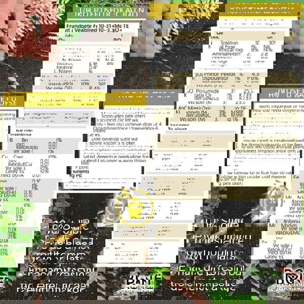 Bronte Heritage All-Purpose Fruit & Veg Plant Food 250g – Fast-acting, nutrient-rich fertiliser with potassium for bigger crops, Easy-mix, resealable