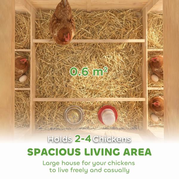 Chicken Coop