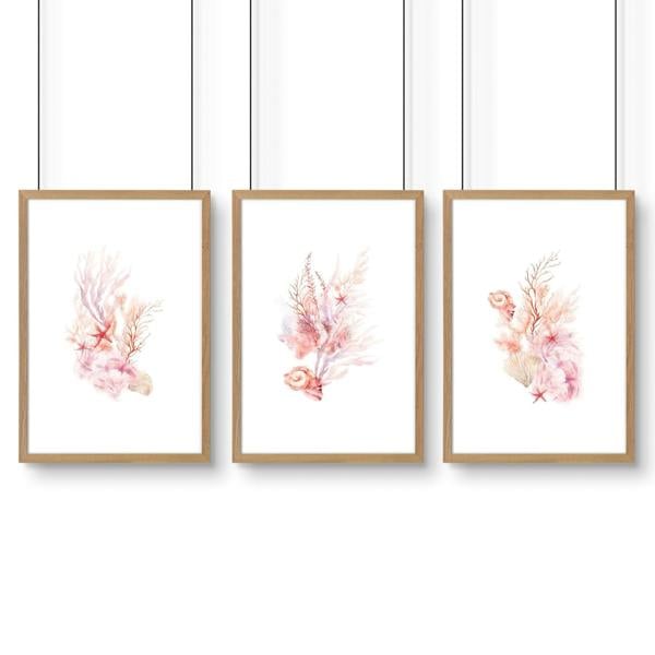 Large Paintings For Wall | Set of 3 Seashells Wall art Prints