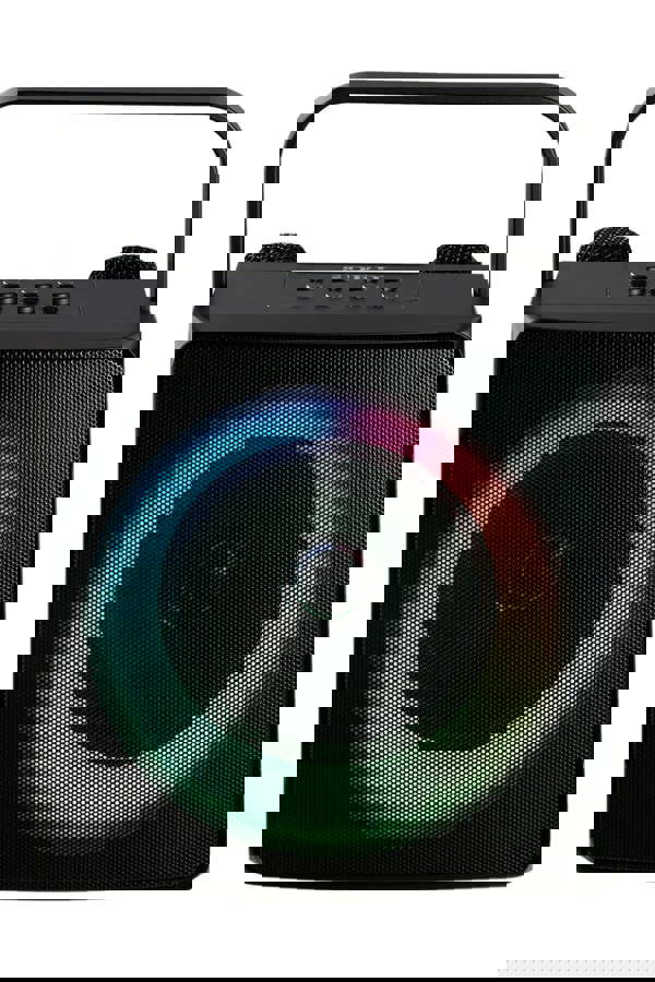 Living and Home Portable Wireless bluetooth 5.0 Karaoke Speaker with 2 Microphones for Home and Party Use