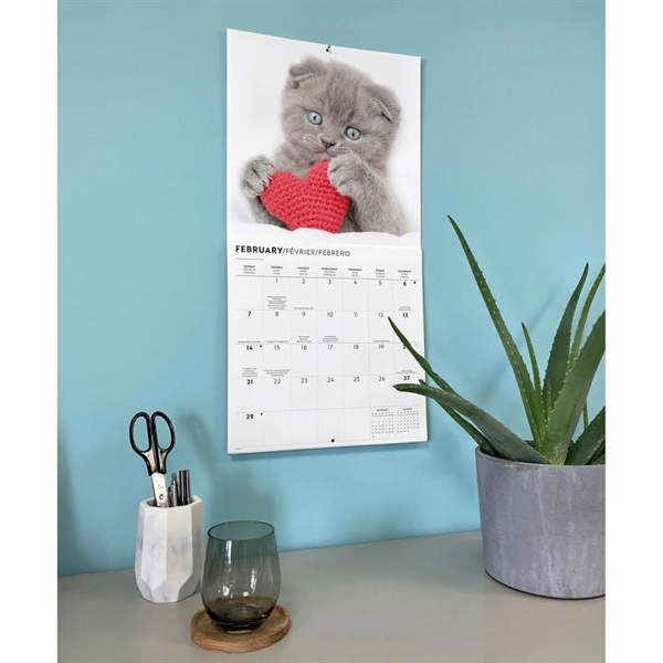 Cats Calendar 2027, Wall Calendars, Month To View, Cats, Gift