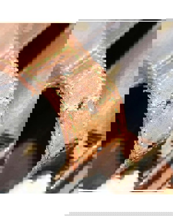 193989532.jpg