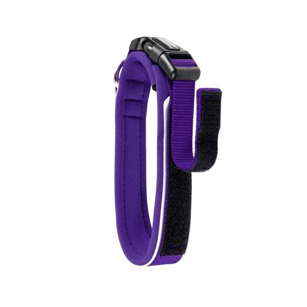EzyDog Neo Classic Dog Collar in Purple