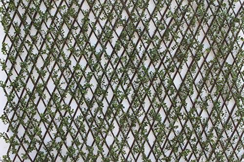The Garden Marketplace Expanding Willow Garden Trellis with Buxus Leaves, 2m x 1m Extendable Privacy Screen Panel, Decorative Greenery Fence Cover