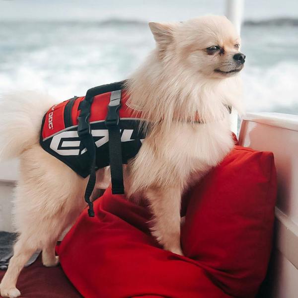 EzyDog DFD Micro Dog Life Jacket in Red