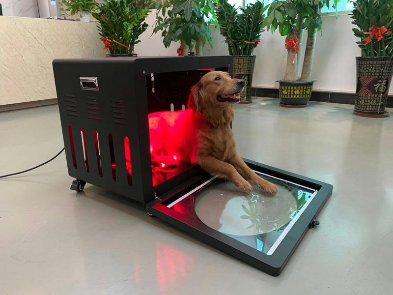 Lumawell PT-LC100 Red Light Therapy Pet Bed