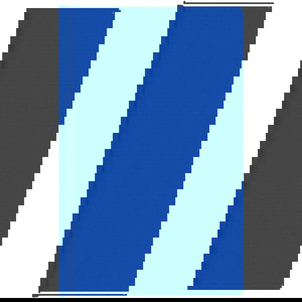 Berkfield Tent Carpet 300x500 cm Blue HDPE