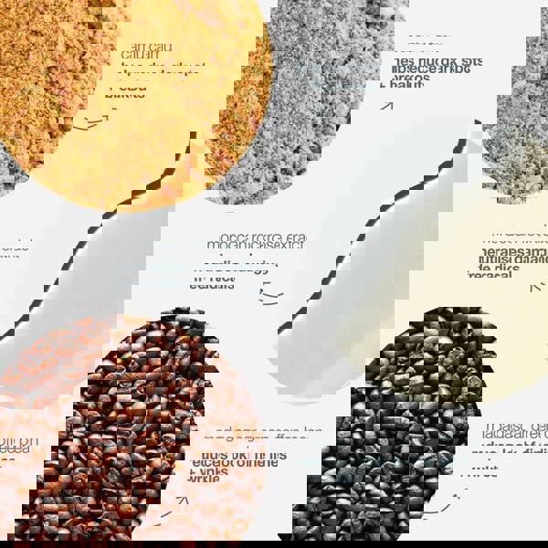 Dermalogica AGE Smart® Phyto-Nature Firming Serum