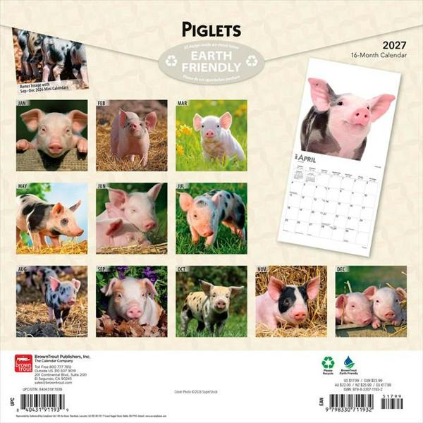 Piglets Calendar 2027, Wall Calendars, Month To View, Animals, Gift