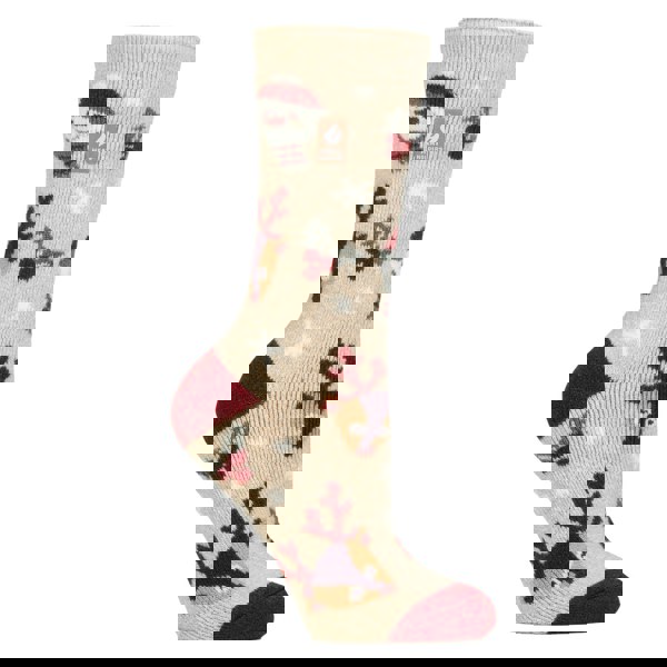 t4option1_1